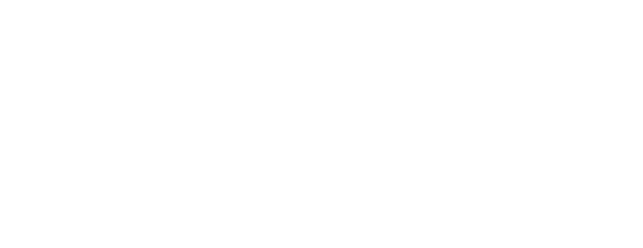 jbs services logo upscaled white